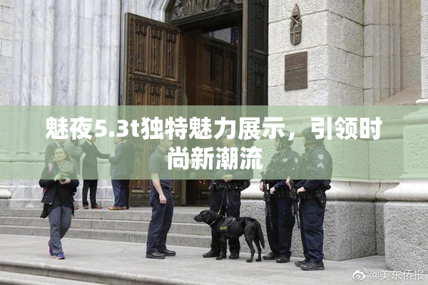 魅夜5.3t独特魅力展示，引领时尚新潮流
