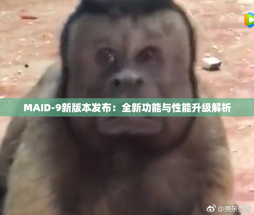 MAID-9新版本发布：全新功能与性能升级解析