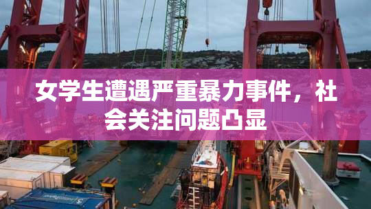 女学生遭遇严重暴力事件，社会关注问题凸显