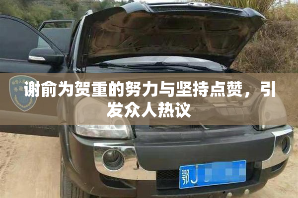 谢俞为贺重的努力与坚持点赞，引发众人热议