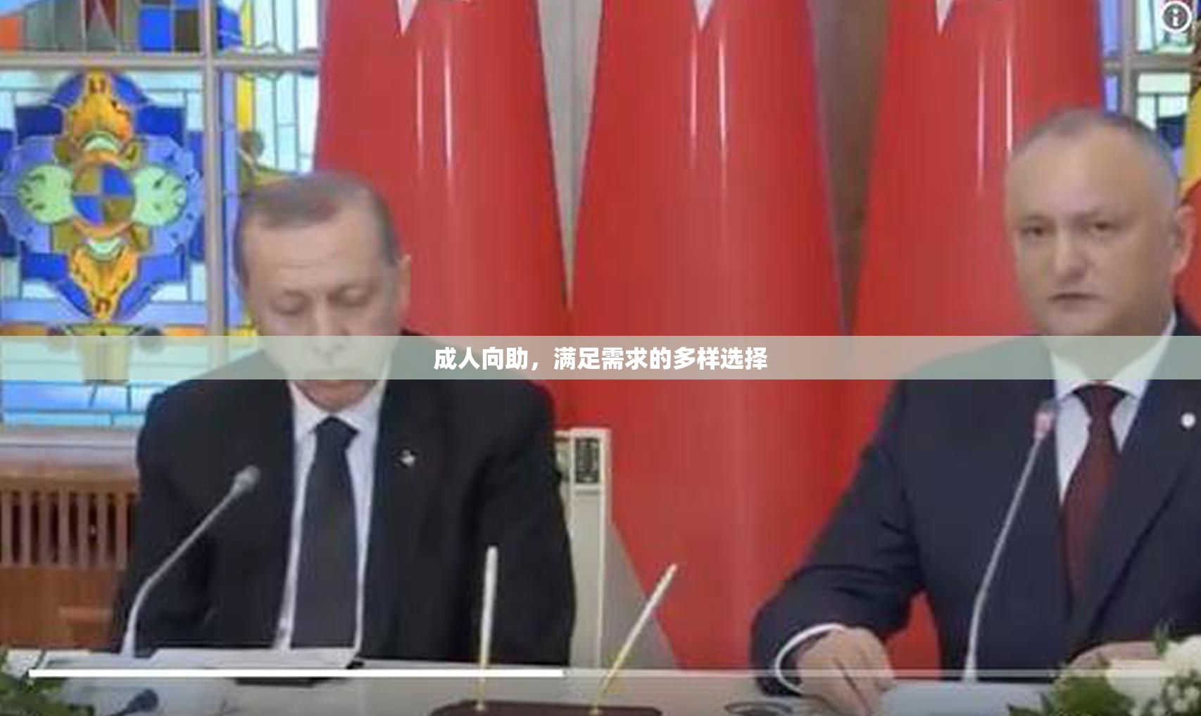 成人向助，满足需求的多样选择