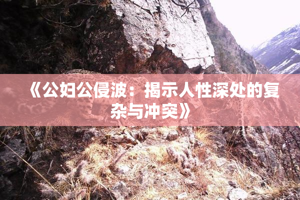 《公妇公侵波：揭示人性深处的复杂与冲突》