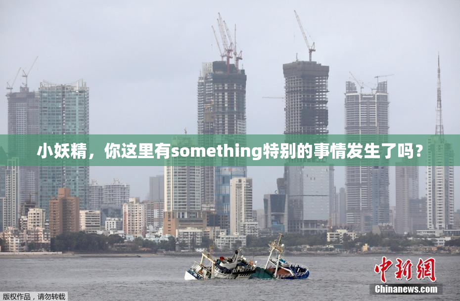 小妖精，你这里有something特别的事情发生了吗？