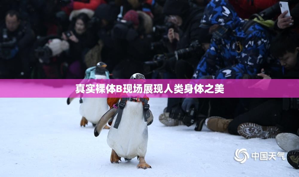 真实裸体B现场展现人类身体之美