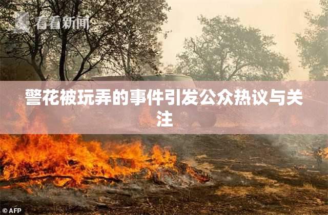 警花被玩弄的事件引发公众热议与关注