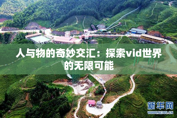 人与物的奇妙交汇：探索vid世界的无限可能