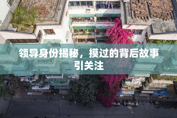 领导身份揭秘，摸过的背后故事引关注