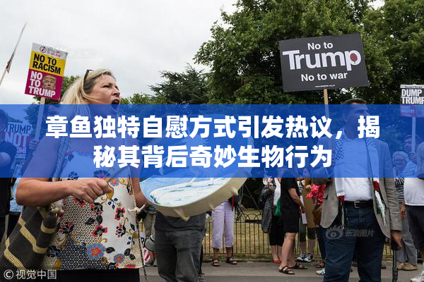 章鱼独特自慰方式引发热议，揭秘其背后奇妙生物行为