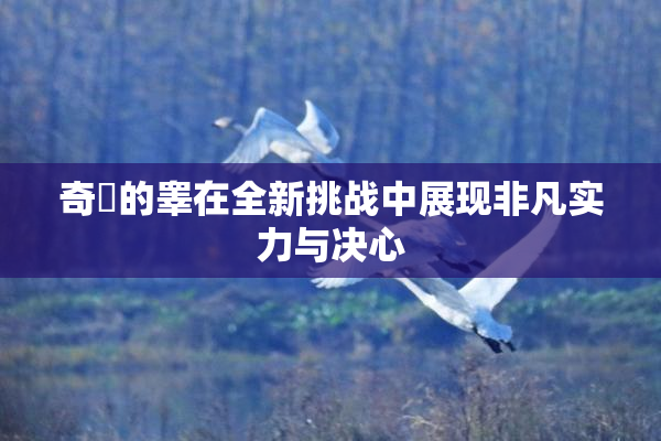 奇犽的睾在全新挑战中展现非凡实力与决心