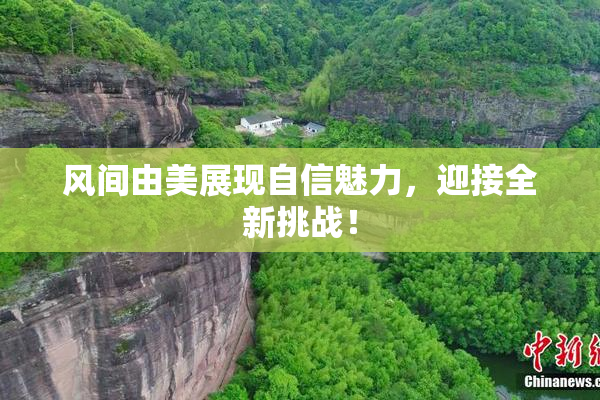 风间由美展现自信魅力，迎接全新挑战！