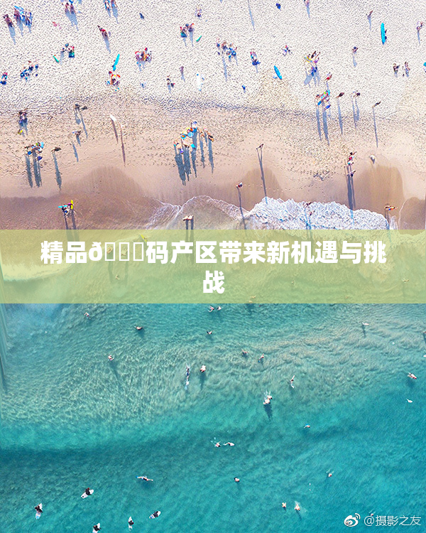 精品🈚码产区带来新机遇与挑战