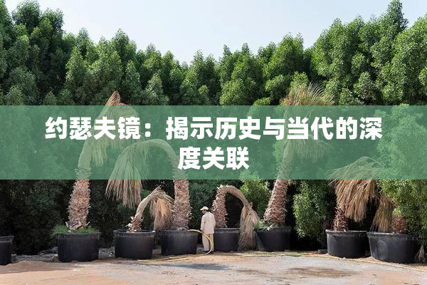 约瑟夫镜：揭示历史与当代的深度关联