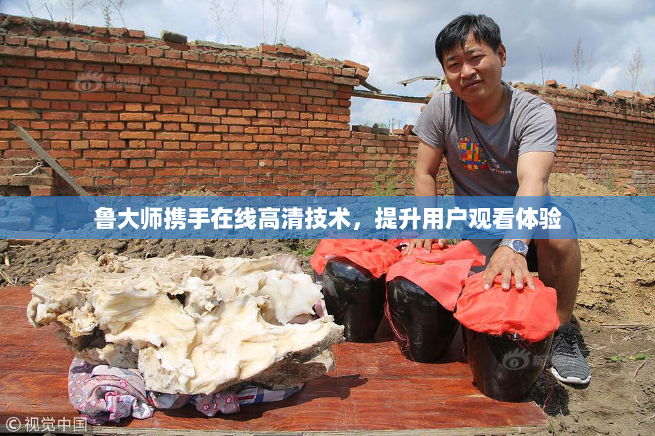 鲁大师携手在线高清技术，提升用户观看体验
