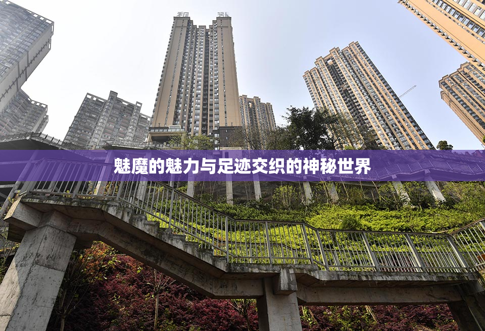 魅魔的魅力与足迹交织的神秘世界