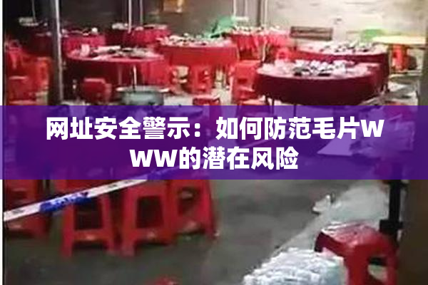 网址安全警示：如何防范毛片WWW的潜在风险