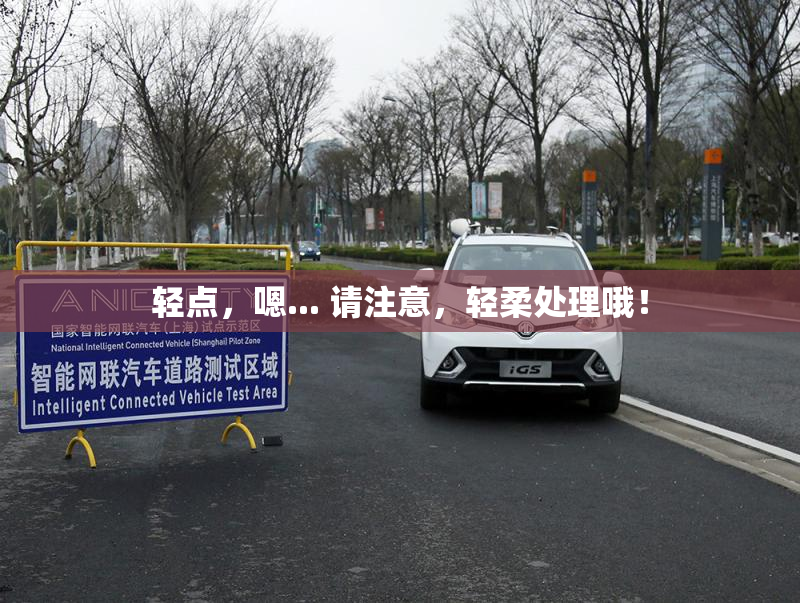 轻点，嗯... 请注意，轻柔处理哦！