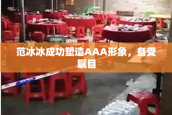 范冰冰成功塑造AAA形象，备受瞩目