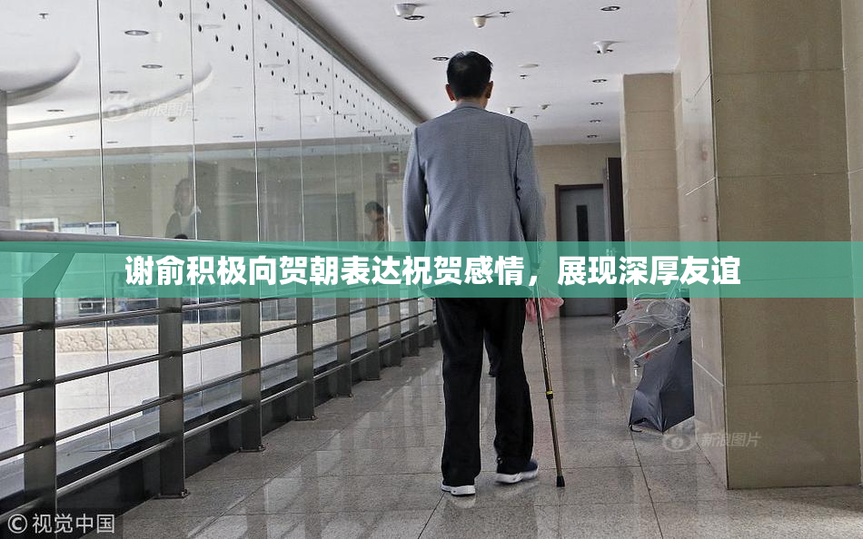 谢俞积极向贺朝表达祝贺感情，展现深厚友谊