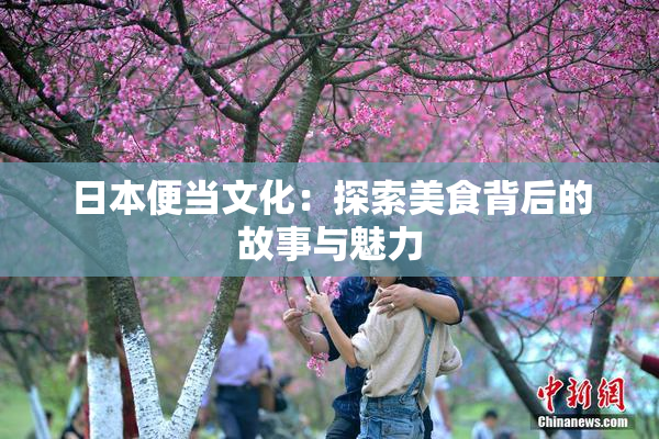 日本便当文化：探索美食背后的故事与魅力