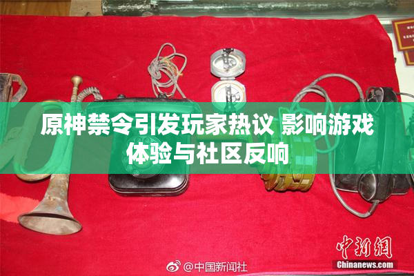 原神禁令引发玩家热议 影响游戏体验与社区反响