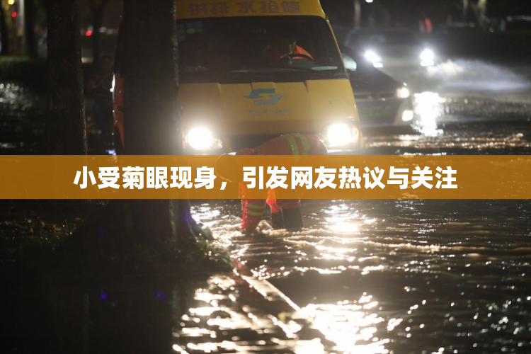 小受菊眼现身，引发网友热议与关注
