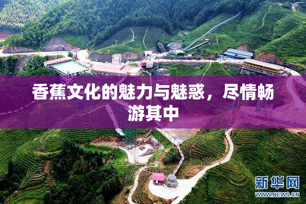 香蕉文化的魅力与魅惑，尽情畅游其中