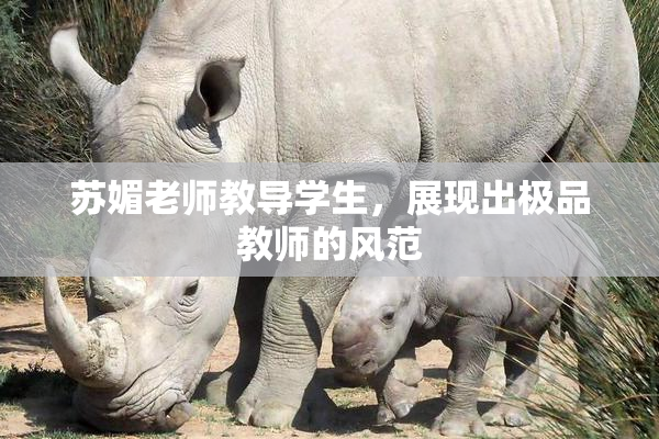 苏媚老师教导学生，展现出极品教师的风范