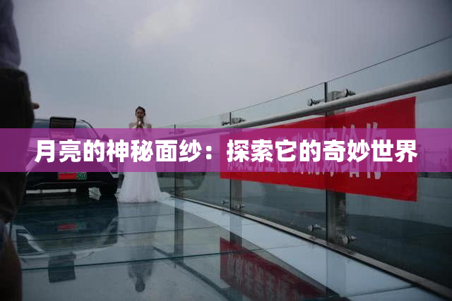 月亮的神秘面纱：探索它的奇妙世界
