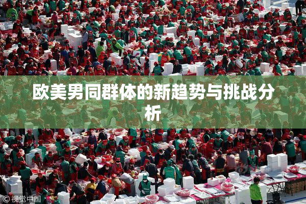 欧美男同群体的新趋势与挑战分析