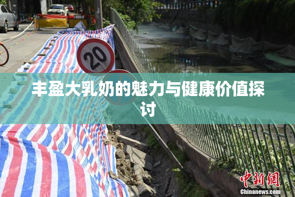 丰盈大乳奶的魅力与健康价值探讨