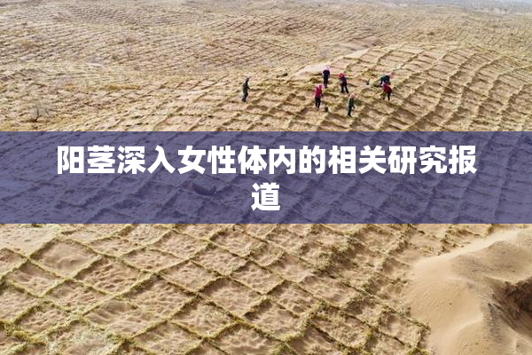 阳茎深入女性体内的相关研究报道