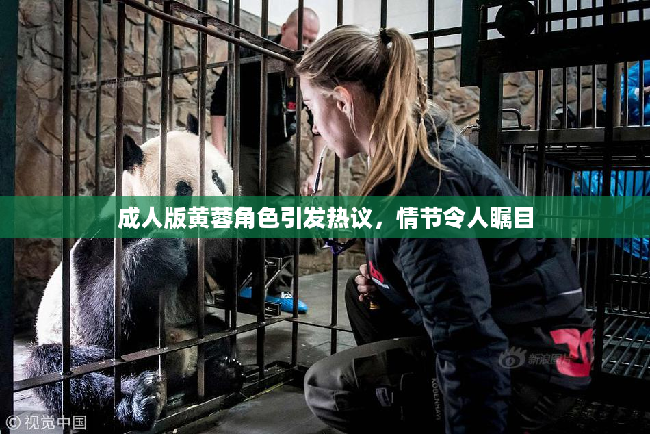 成人版黄蓉角色引发热议，情节令人瞩目