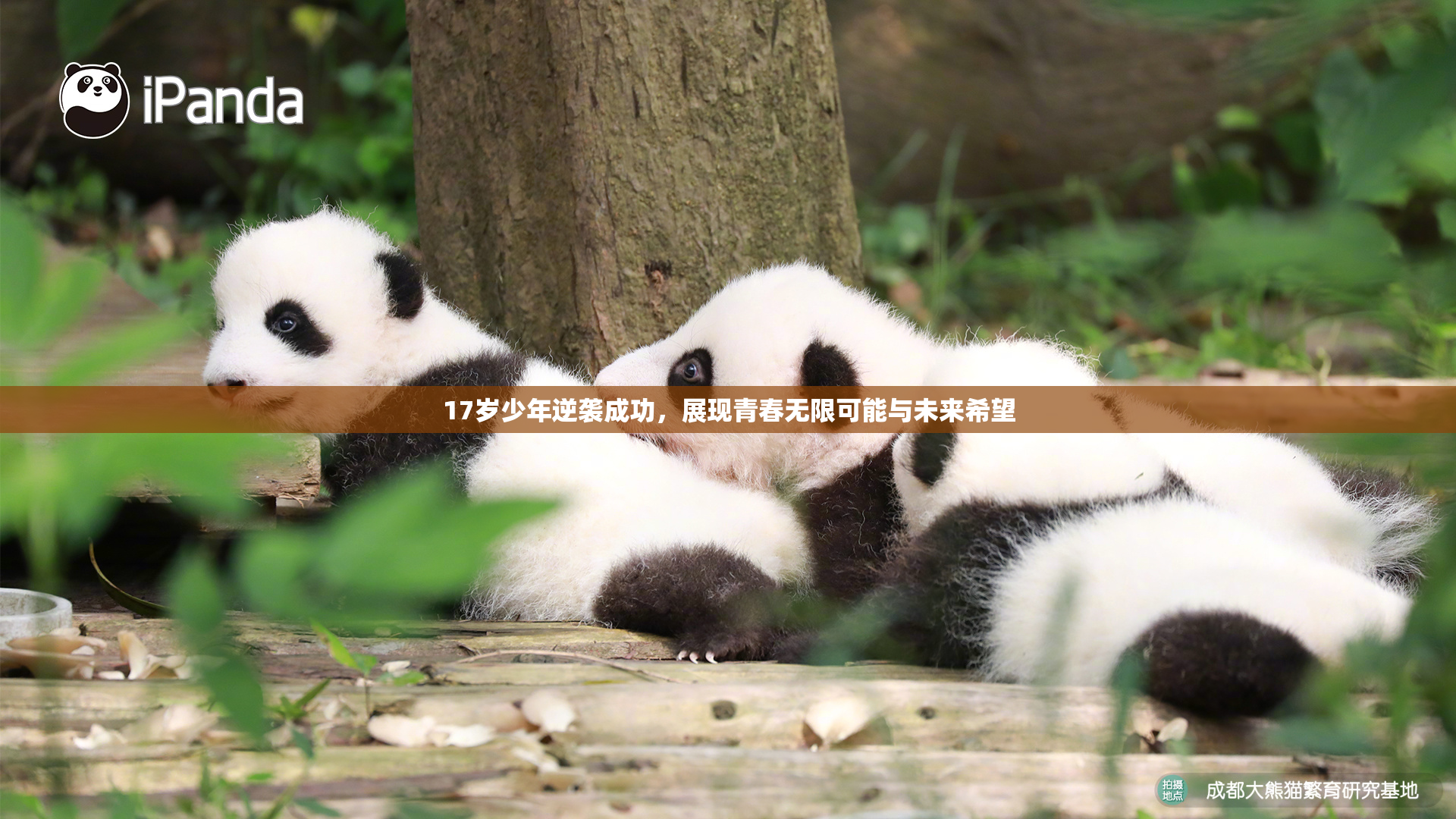17岁少年逆袭成功，展现青春无限可能与未来希望