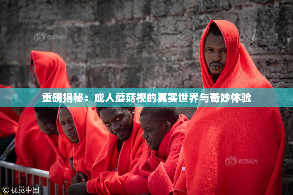重磅揭秘：成人蘑菇视的真实世界与奇妙体验