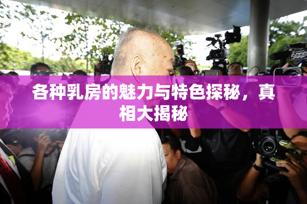 各种乳房的魅力与特色探秘，真相大揭秘