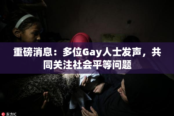 重磅消息：多位Gay人士发声，共同关注社会平等问题