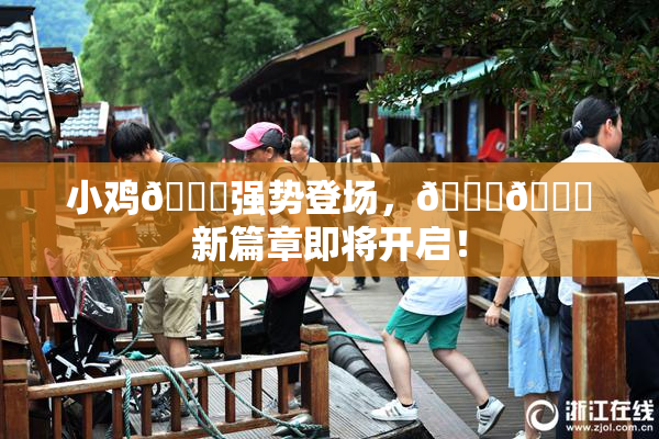 小鸡🐔强势登场，🍑🔞新篇章即将开启！
