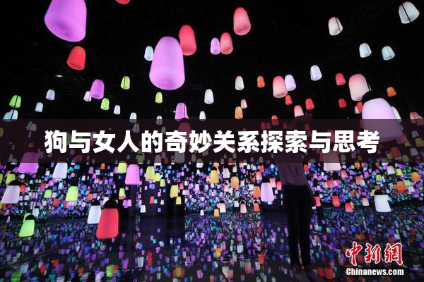 狗与女人的奇妙关系探索与思考