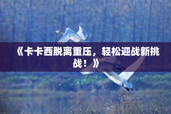 《卡卡西脱离重压，轻松迎战新挑战！》