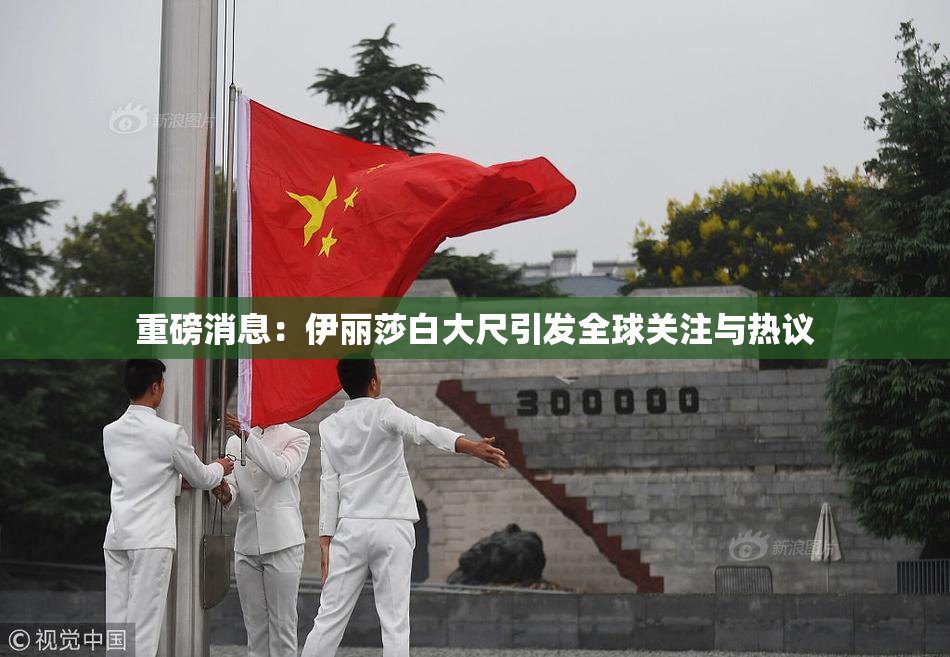 重磅消息：伊丽莎白大尺引发全球关注与热议