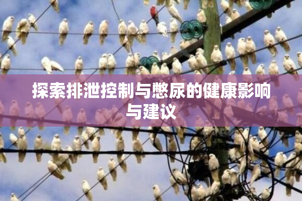 探索排泄控制与憋尿的健康影响与建议