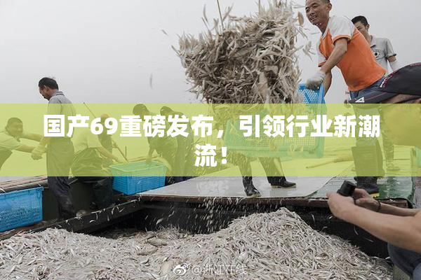 国产69重磅发布，引领行业新潮流！