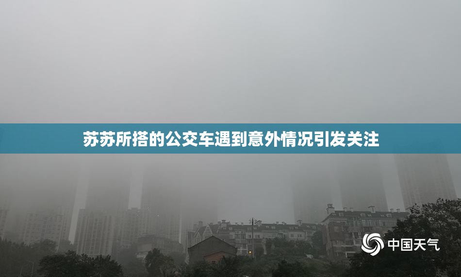 苏苏所搭的公交车遇到意外情况引发关注