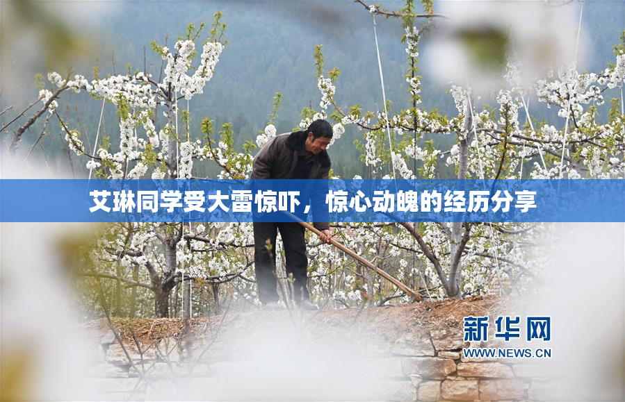 艾琳同学受大雷惊吓，惊心动魄的经历分享
