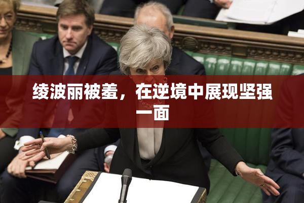 绫波丽被羞，在逆境中展现坚强一面