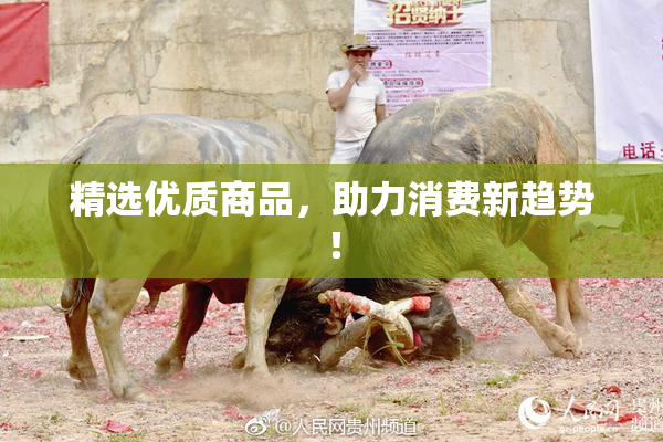 精选优质商品，助力消费新趋势！