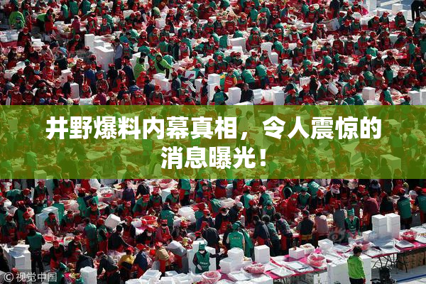 井野爆料内幕真相，令人震惊的消息曝光！