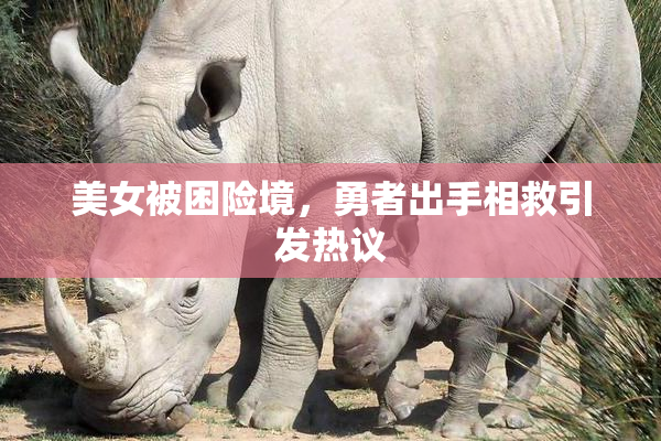 美女被困险境，勇者出手相救引发热议