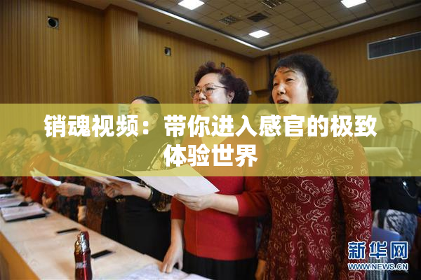 销魂视频：带你进入感官的极致体验世界