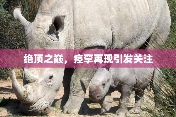 绝顶之巅，痉挛再现引发关注